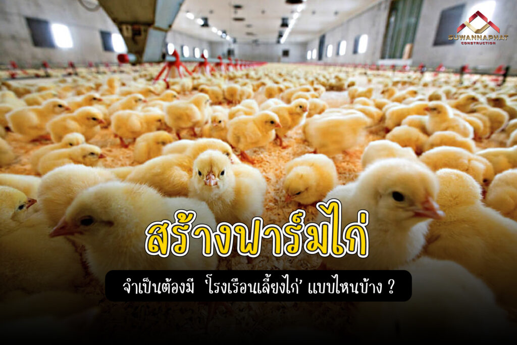 (A29) - สร้างฟาร์มไก่ ต้องสร้างโรงเรือนแบบไหนบ้าง บริษัทรับเหมาก่อสร้าง