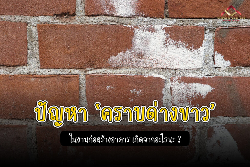 (A36) - ด่างขาว ใน งานก่อสร้างอาคาร เกิดจาก